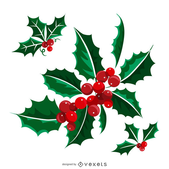 Illustrated Isolated Christmas Mistletoe 570x570 Illustrated Isolated Christmas Mistletoe