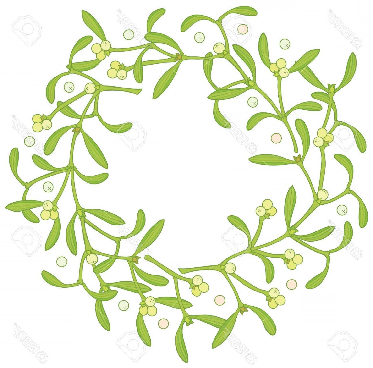 Mistletoe Vector Drawing Savoyuptown 1560x1539 Mistletoe Vector Drawing Savoyuptown