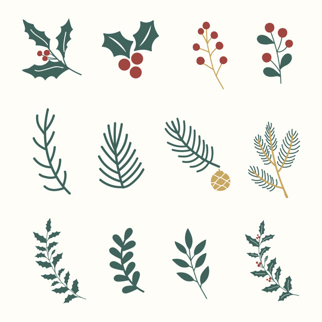 Mistletoe Vectors, Photos And Free Download 626x626 Mistletoe Vectors, Photos And Free Download