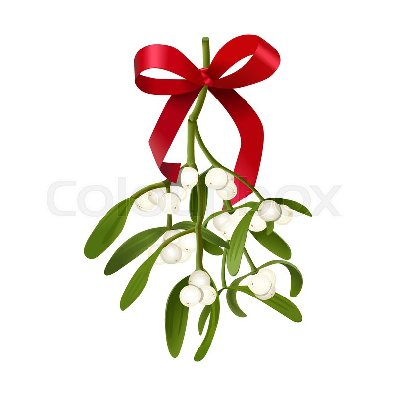 Mistletoe Vector Illustration Of Stock Vector Colourbox 800x800 Mistletoe Vector Illustration Of Stock Vector Colourbox