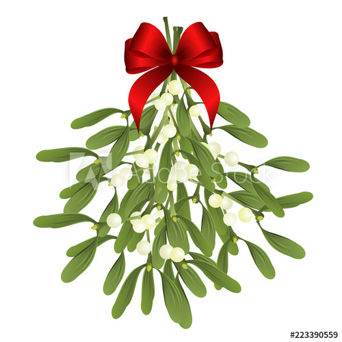 Mistletoe Vector Illustration Of Hanging Mistletoe Sprigs 500x500 Mistletoe Vector Illustration Of Hanging Mistletoe Sprigs