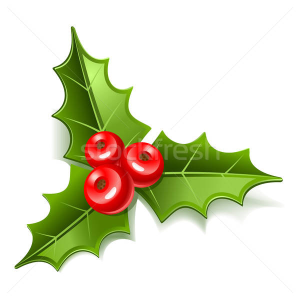 Mistletoe Vector Illustration Sonia 600x600 Mistletoe Vector Illustration Sonia