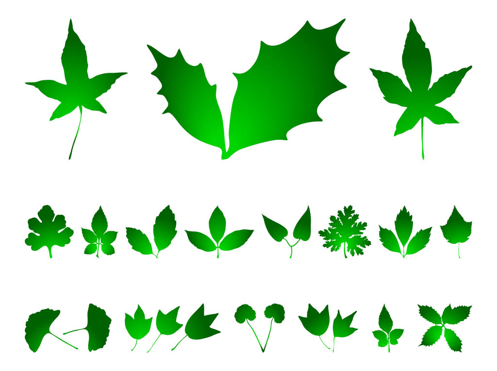 1024x765 Free Mistletoe Vectors