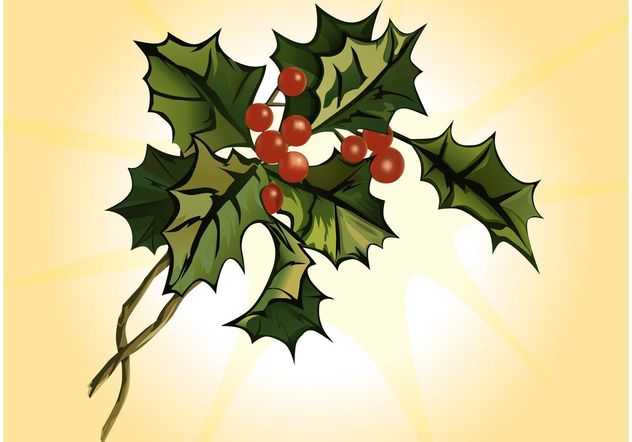 632x442 Mistletoe Cartoon Free Vector Download Cannypic