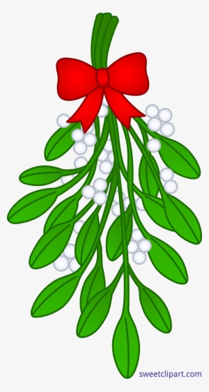 300x563 Mistletoe Png, Transparent Mistletoe Png Image Free Download