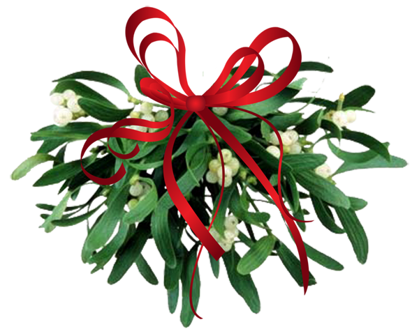 600x472 Mistletoe Clipart Tumundografico