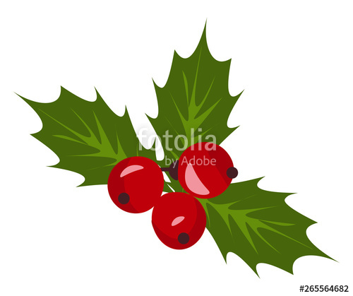 500x419 Christmas Holly Berry Mistletoe Vector Or Color Illustration