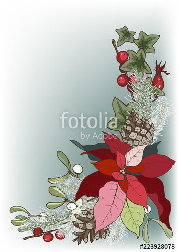 354x500 Composition Of Christmas Plants, Poinsettia, Holly, Cones, Ivy