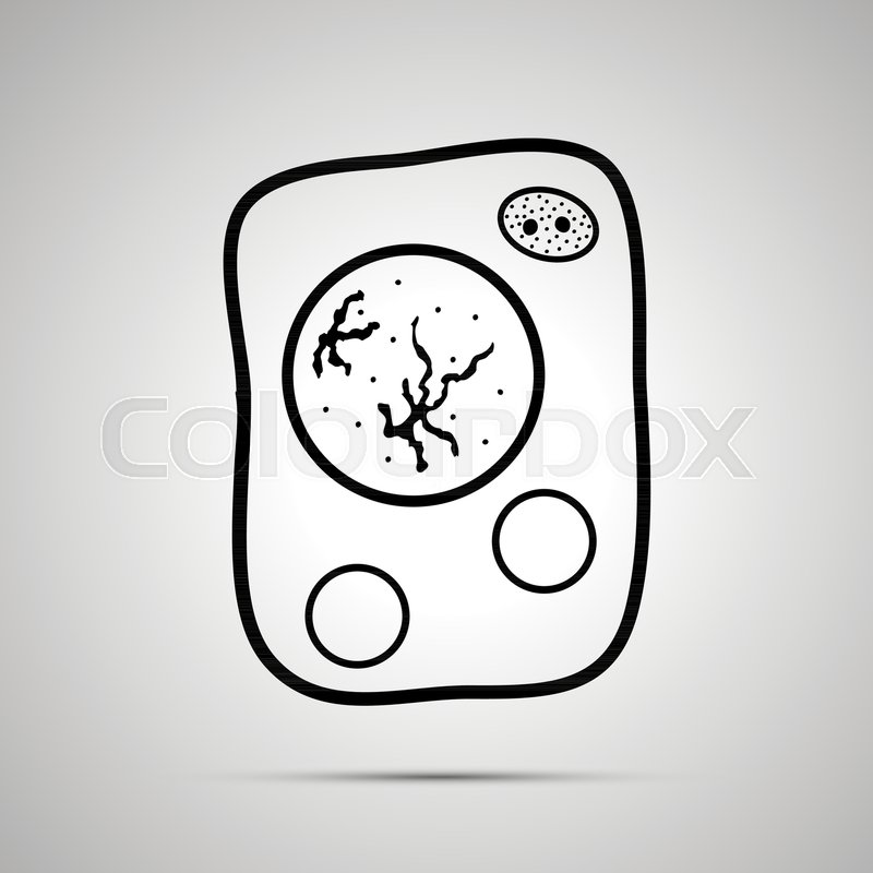 Living Cell With Core And Stock Vector Colourbox 800x800 Living Cell With Core And Stock Vector Colourbox