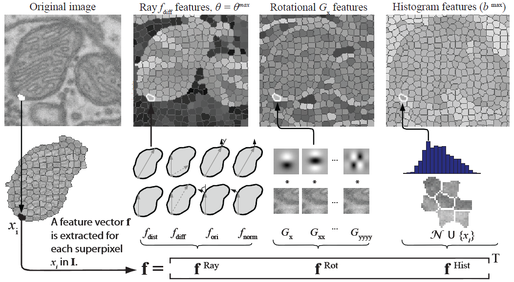 Mitochondria Segmentation In Em Slices Biodataanalysis Gmbh 1052x579 Mitochondria Segmentation In Em Slices Biodataanalysis Gmbh
