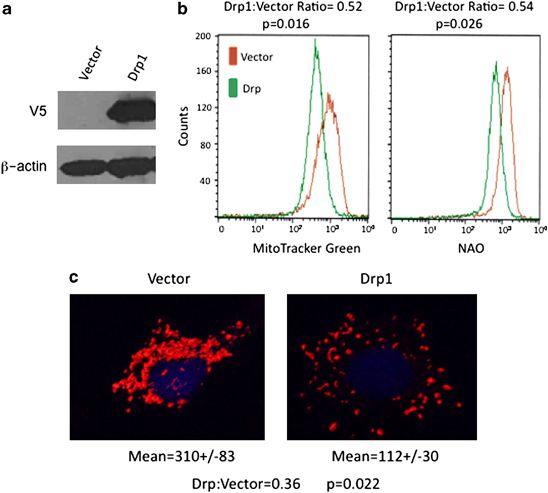 Figure 548x493 Figure