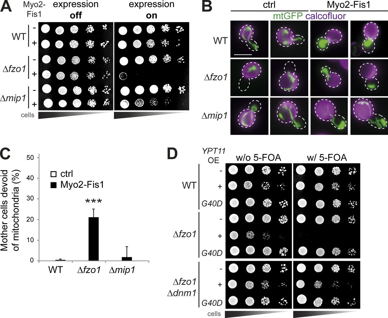 Figure Fusion, Fission, And Transport Control Asymmetric 1280x1050 Figure Fusion, Fission, And Transport Control Asymmetric