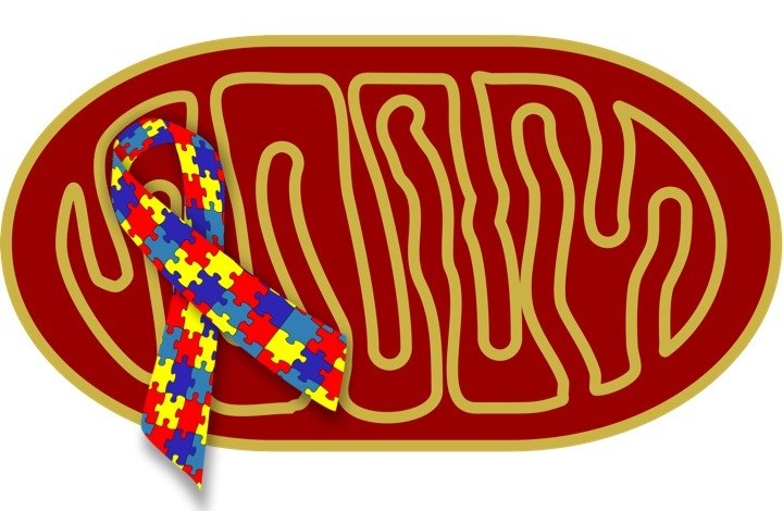 Impaired Recycling Of Mitochondria In Autism 720x470 Impaired Recycling Of Mitochondria In Autism