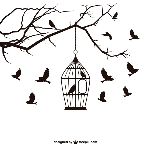 626x626 Cage Vectors, Photos And Free Download