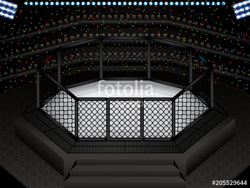500x375 Mma Octagon Cage Stock Image And Royalty Free Vector