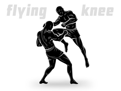 400x300 Flying Knee Mma Fighters