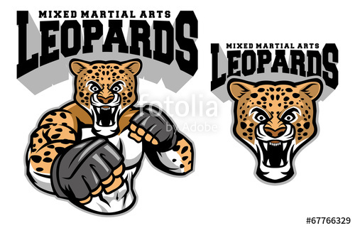 500x321 Mma Fighter Leopard Stock Image And Royalty Free Vector