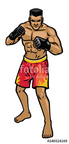 241x500 Mma Fighter Stance Stock Image And Royalty Free Vector