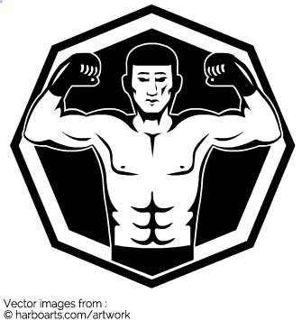 335x355 Download Mma Fighter Octagon