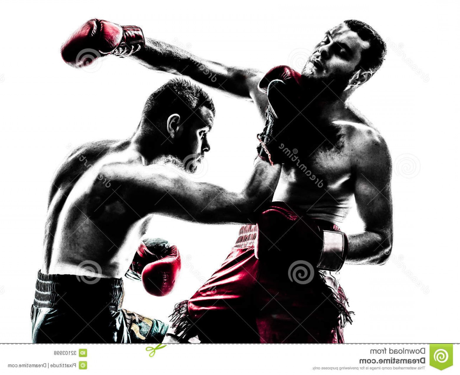 1560x1274 Hayabusa Mma Vector Hoodamathrun