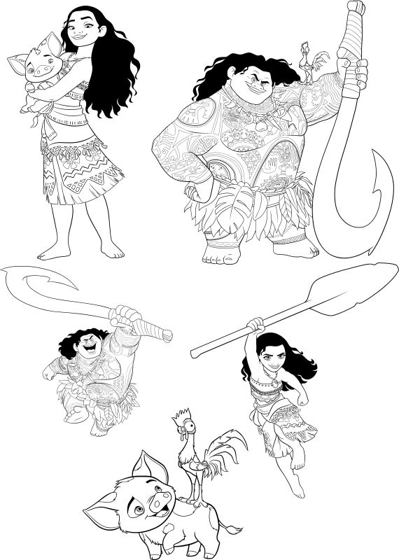 570x800 Moana Free Vector Cdr Download