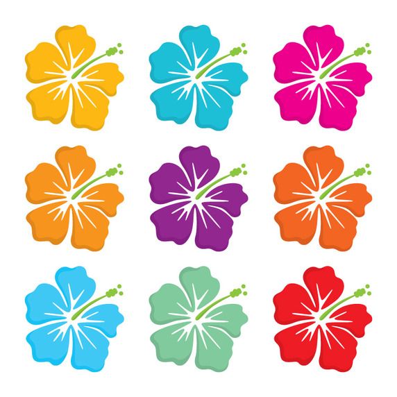 Hawaiian Polynesian Flower Free Vector Free Vector Cricut 572x572 Hawaiian Polynesian Flower Free Vector Free Vector Cricut