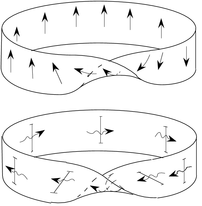 Mobius Strip Vector At Collection Of Mobius Strip