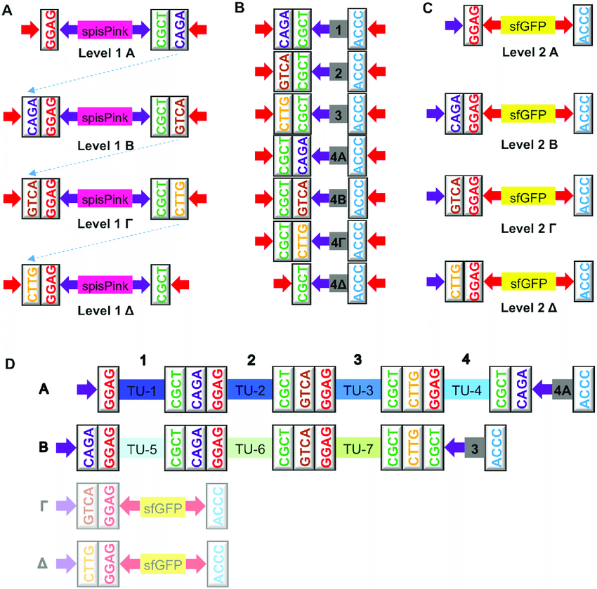 850x839 Mobius Assembly Vector Toolkit