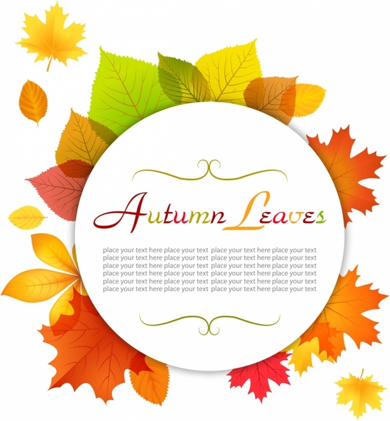 555x600 Modern Autumn Frame Free Vector In Adobe Illustrator