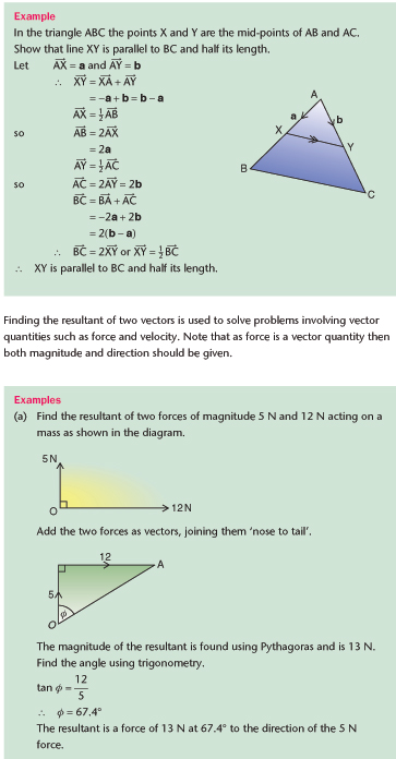 Vectors 363x696 Vectors