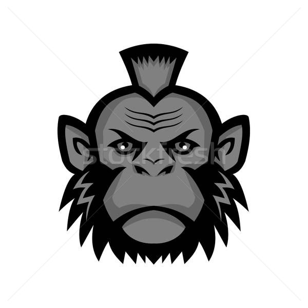 Mohawk Vector at Vectorified com Collection of Mohawk Vector free for Mohawk Vector at Vectorified com Collection of Mohawk Vector free for