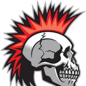 300x300 Skull With Mohawk Hairstyle Vector Newwaysys