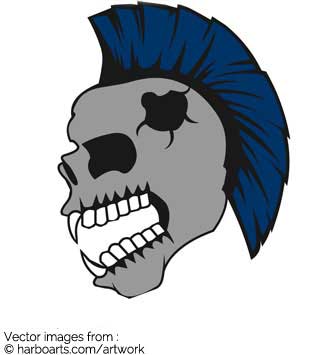 335x355 Download Mohawk Skull