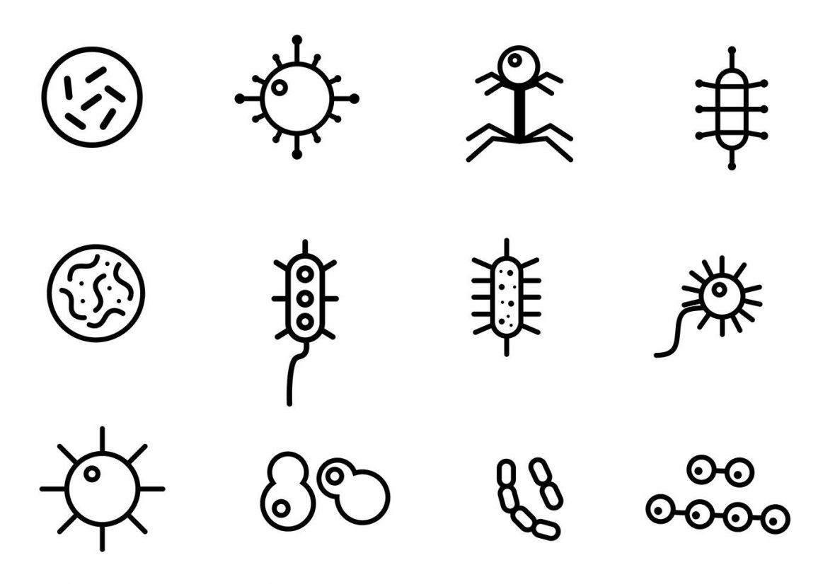 1180x826 Mold Icon Free Vector