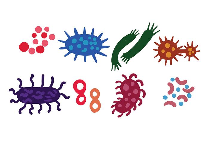 700x490 Mold Icon Vector