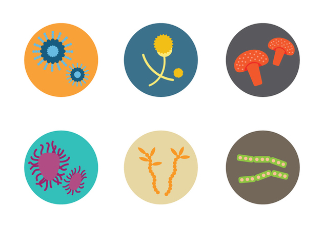 632x443 Mold Microscope Vector Free Vector Download Cannypic