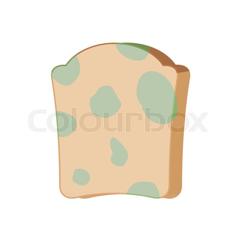 800x800 Piece Of Bread With Mold Isolated Stock Vector Colourbox