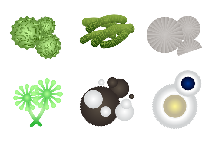 700x490 Realistic Mold Vector