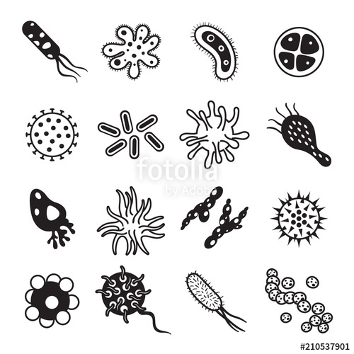 500x500 Biology Diseases Virus And Mold Bacteria Hygiene Icon Biological