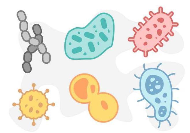 632x443 Free Cute Mold Vectors Free Vector Download Cannypic