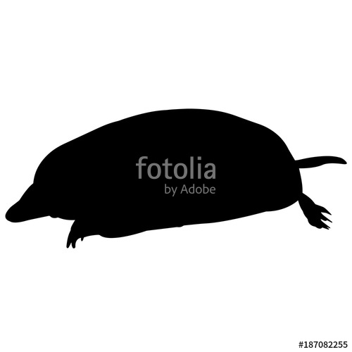 500x500 Mole Silhouette Vector Graphics Stock Image And Royalty Free