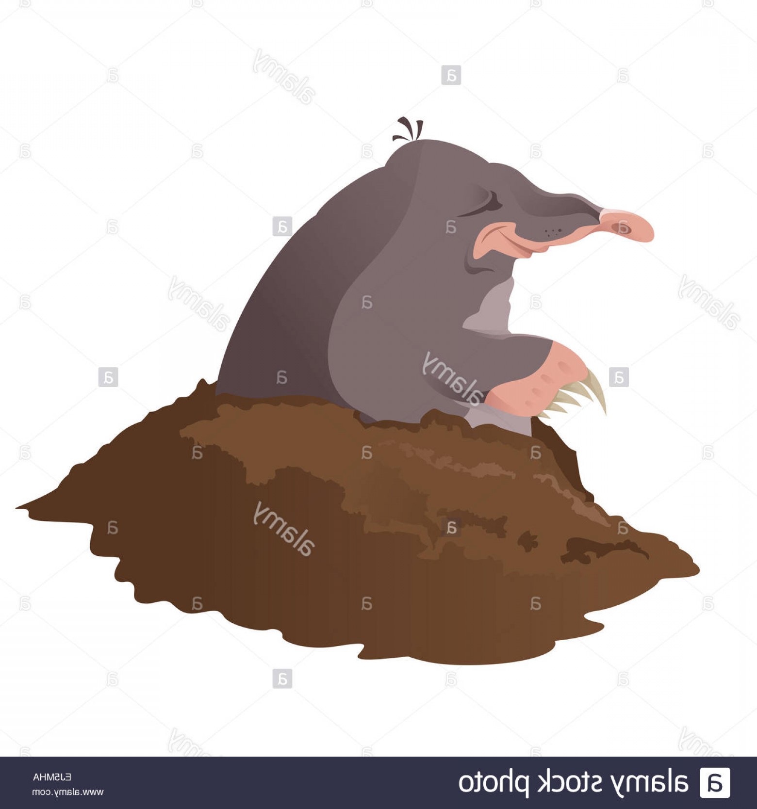 Mole Vector At Vectorified.com 