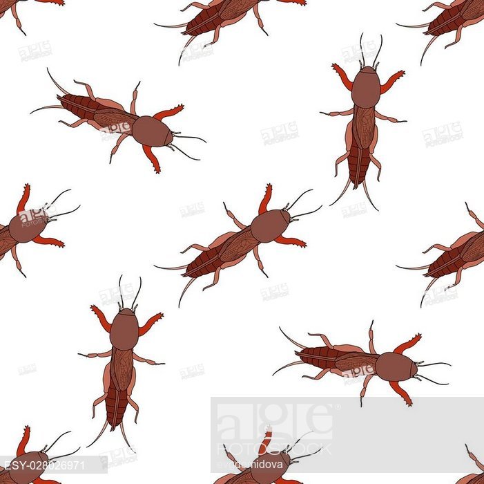 701x700 Seamless Pattern With European Mole Cricket Gryllotalpidae, Stock