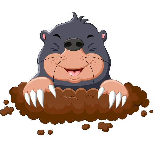 626x601 Cartoon Cute Mole Vector Premium Download