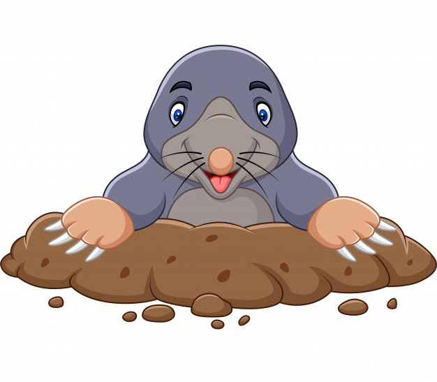 Mole Vector at Vectorified.com | Collection of Mole Vector free for ...