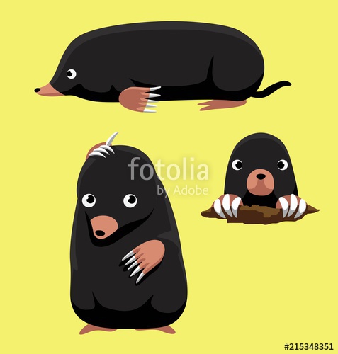 477x500 Cute Mole Poses Cartoon Vector Illustration Stock Image