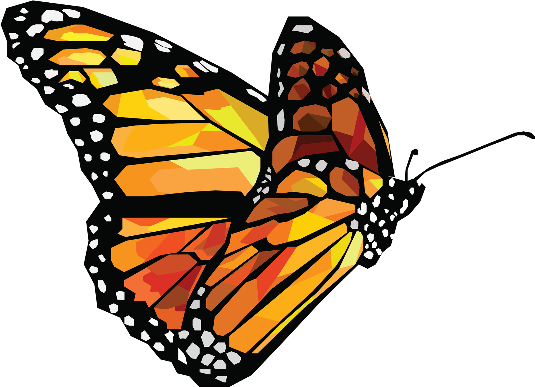 Monarch Butterfly Vector At Collection Of Monarch Butterfly Vector Free For 