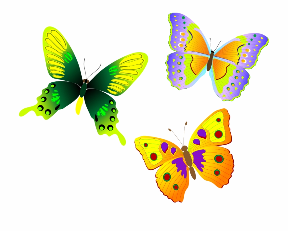 920x738 Monarch Butterfly Euclidean Vector