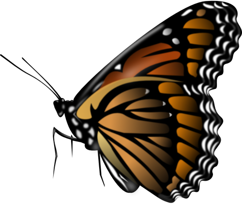 500x420 Monarch Butterfly Vector Clip Art