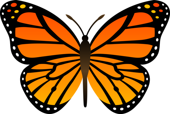 550x370 Orange Monarch Butterfly Vector